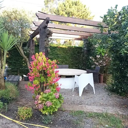 Casa Maria Luisa 別荘 *